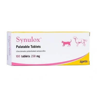 シヌロックス 1 錠あたり 250mg
